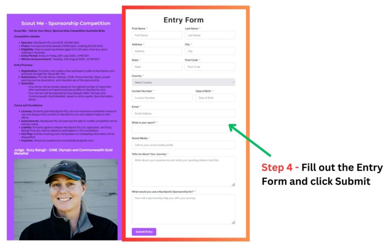 Step 4 Fill Out Entry v2